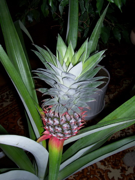  5 