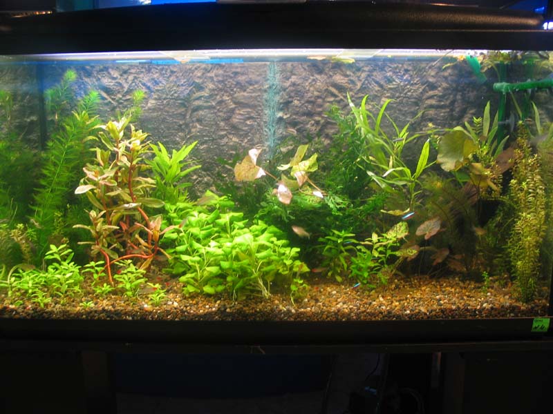  4"  "