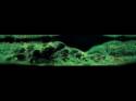   (Nature Aquarium). Takashi Amano ( )