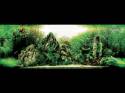   (Nature Aquarium). Takashi Amano ( )
