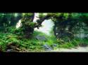   (Nature Aquarium). Takashi Amano ( )
