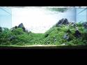   (Nature Aquarium). Takashi Amano ( )